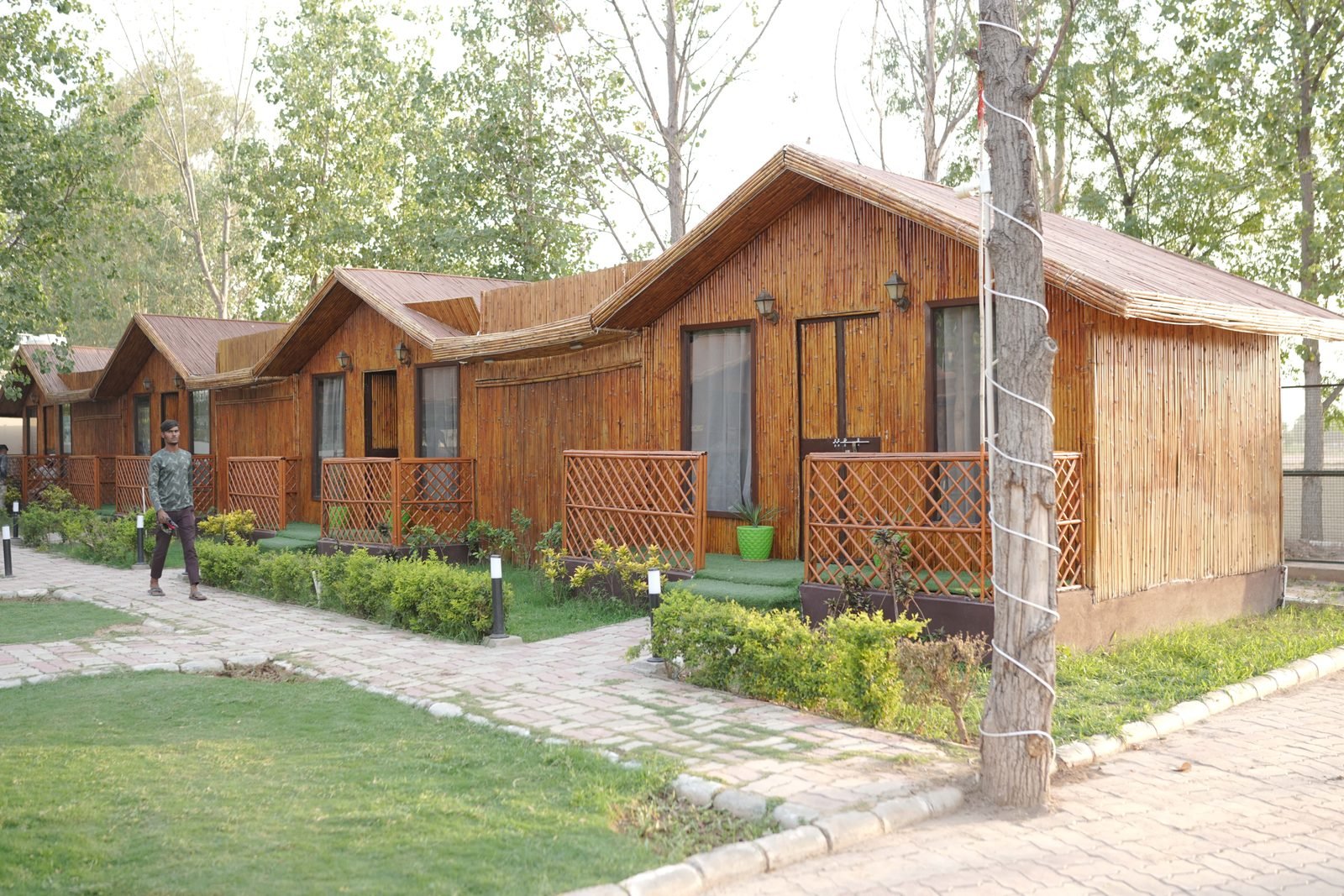 A row of bamboo huts with pitched roofs and planted verges