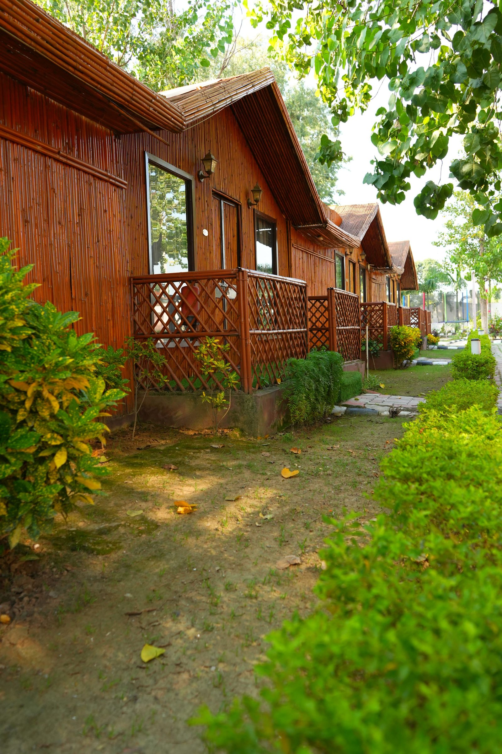 Hut verandahs down the path, under the trees